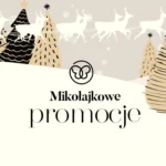 Projekt bez nazwy (11)